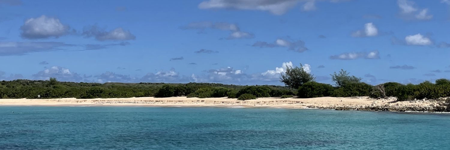 Northern Sparrow banner