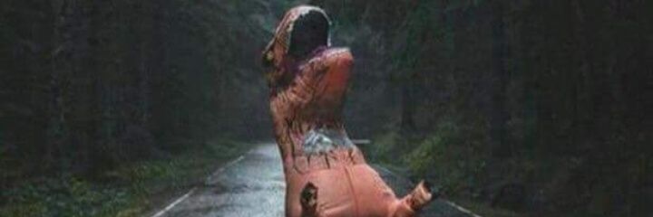 phpedrinhoph's profile banner image
