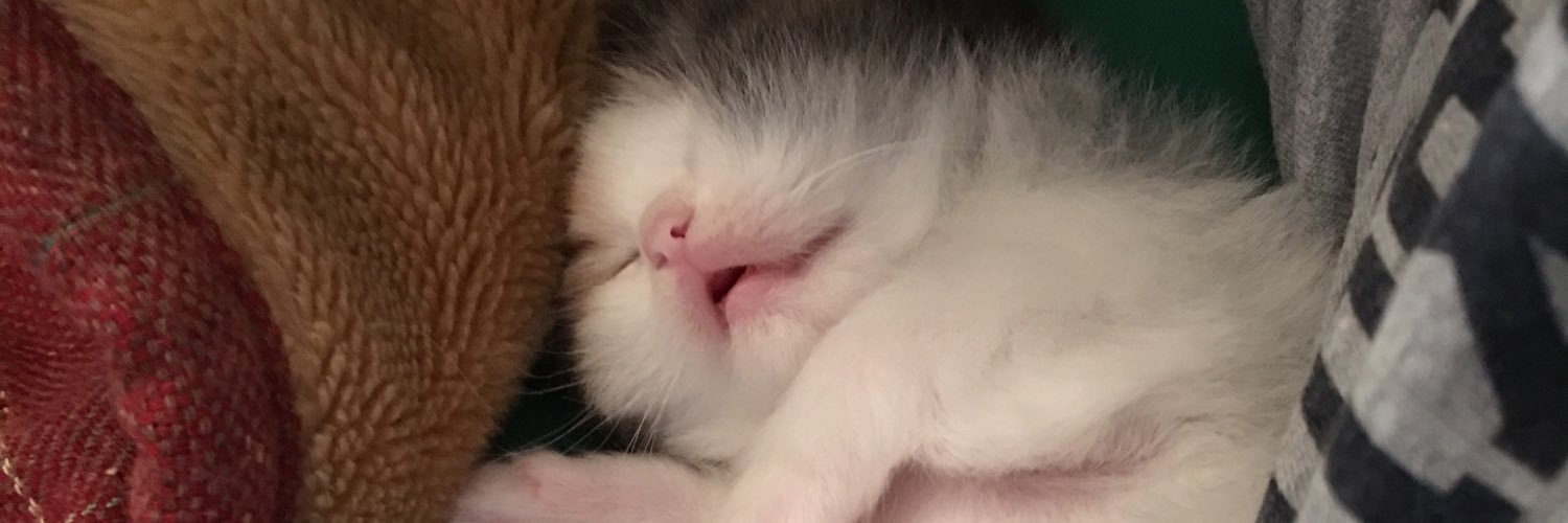ururbaby1's profile banner image