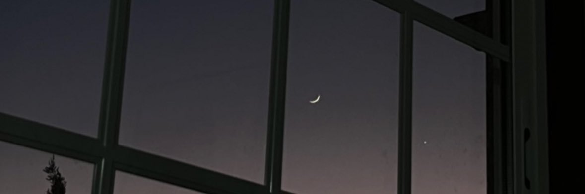 Catsss10's profile banner image