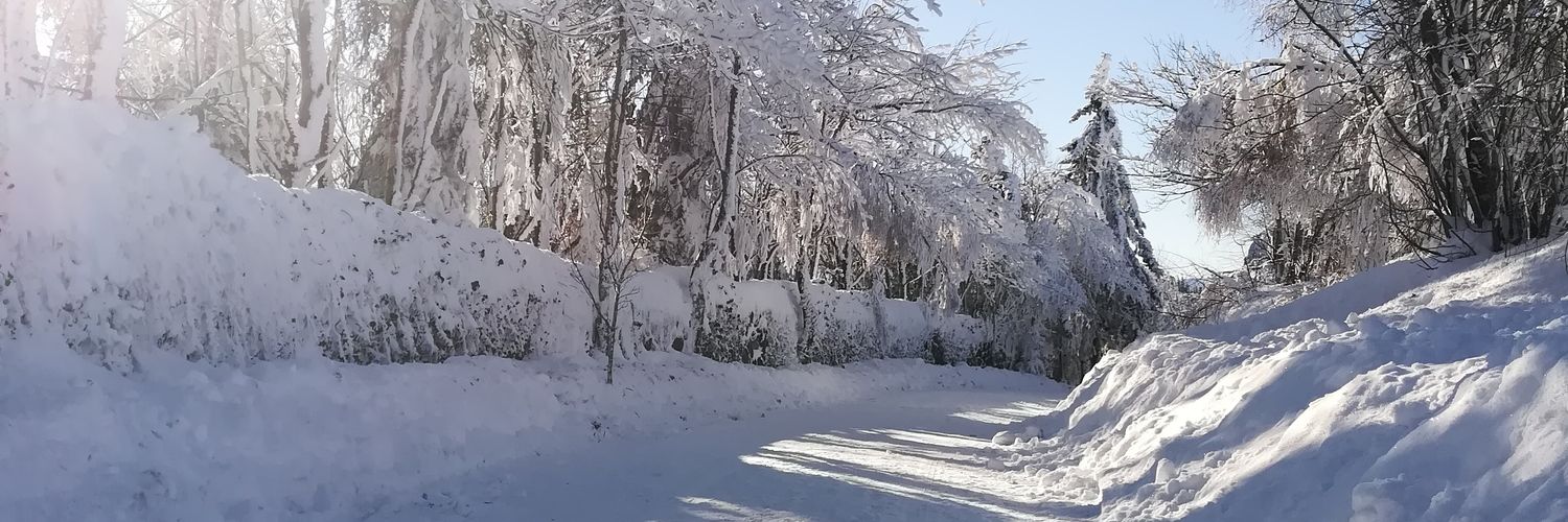 Orlando Gomes De Fre banner