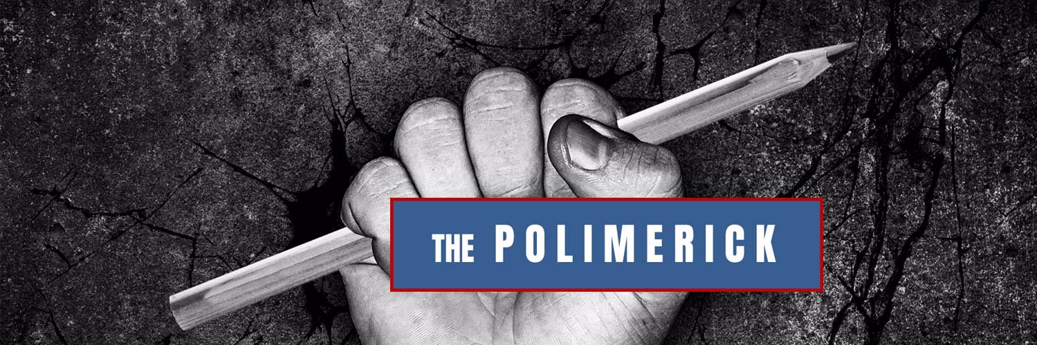 thepolimerick's profile banner image