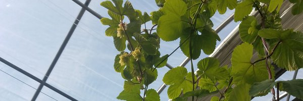 beerwithabamlet Profile Banner