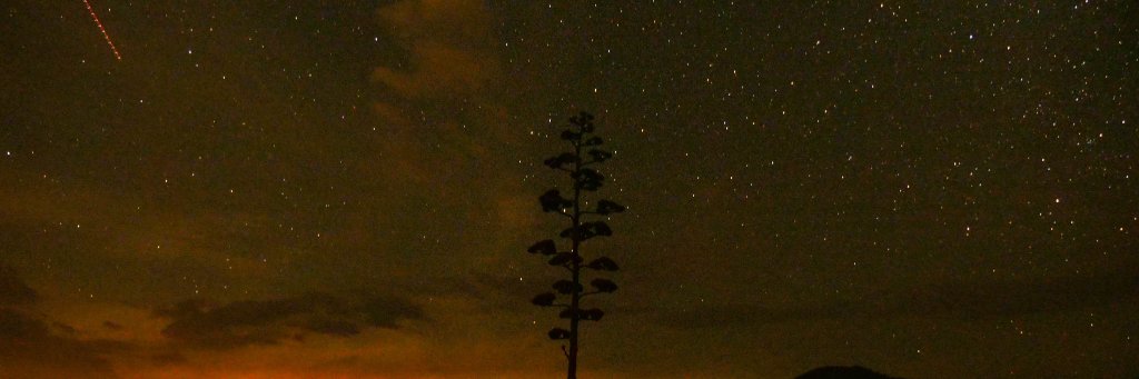 MxJoaquinMeza's profile banner image