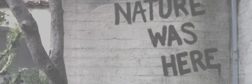 niykeeffgdr's profile banner image
