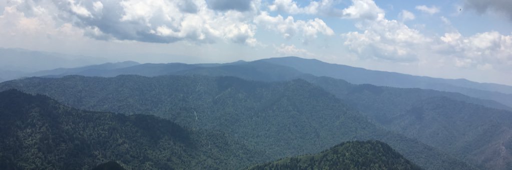 Danielle Sharrett banner