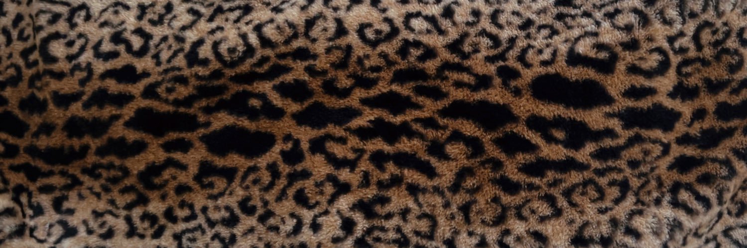 JessicaCheNelle's profile banner image