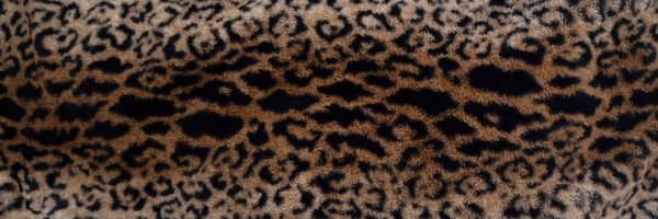 JessicaCheNelle Profile Banner