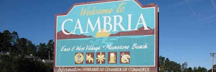 Kambriaa_'s profile banner image