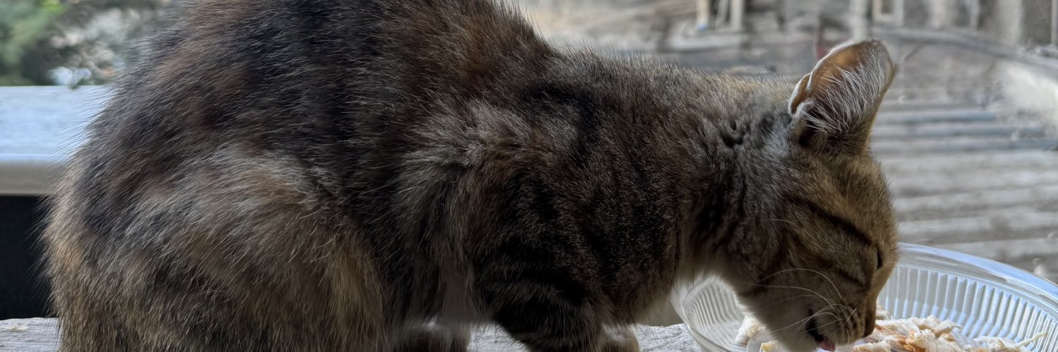 Ahmed ELlithy banner