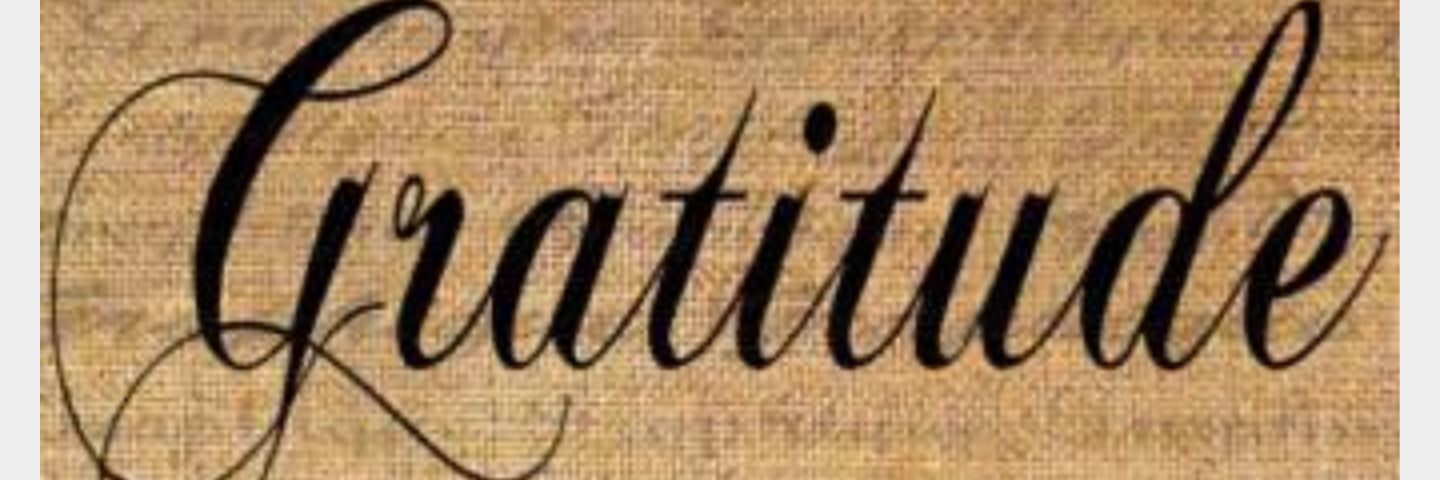 fangfing's profile banner image