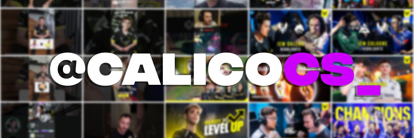 Calico | 🔻 banner