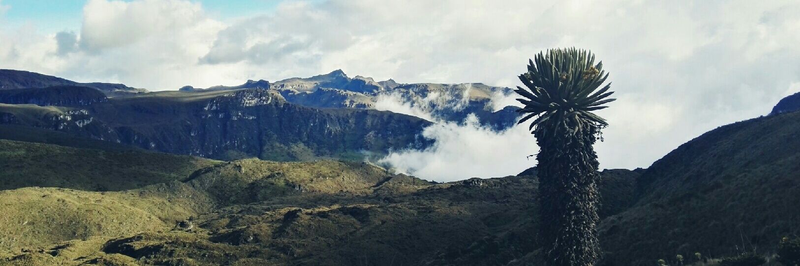 GarciaDanielaV's profile banner image