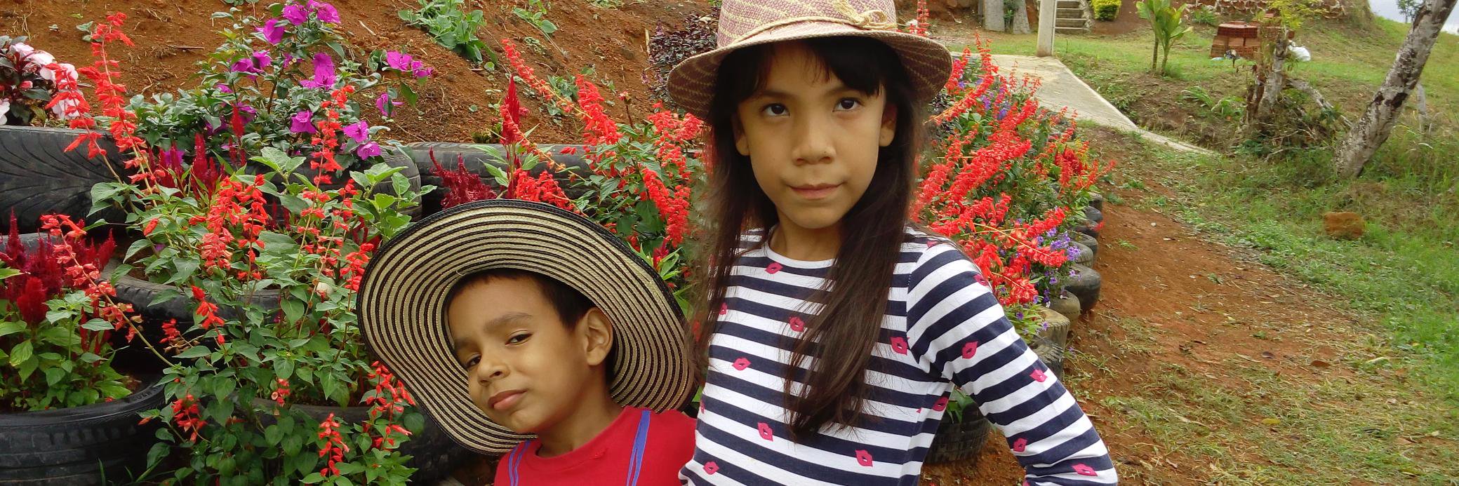 brisajo's profile banner image