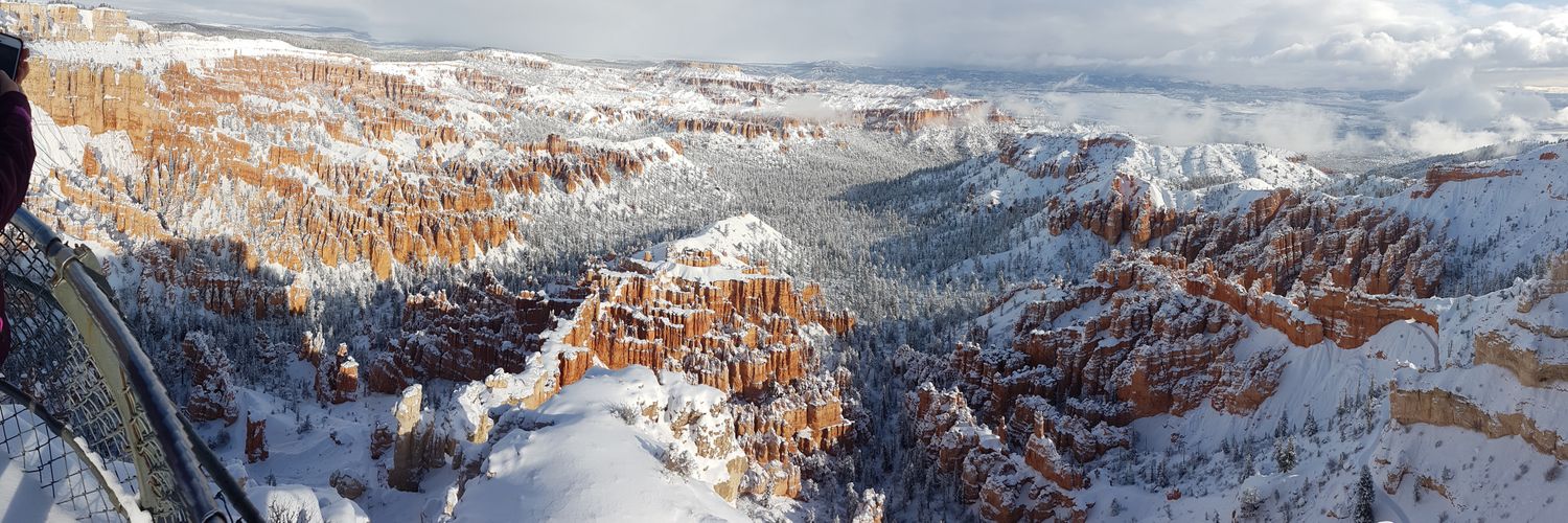 Daniel Pearson banner