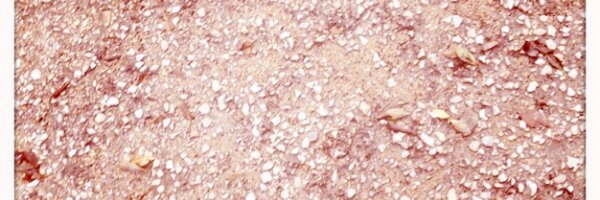 VideoC Profile Banner