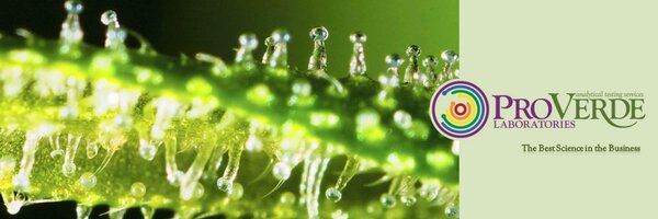 ProVerdeLabs Profile Banner