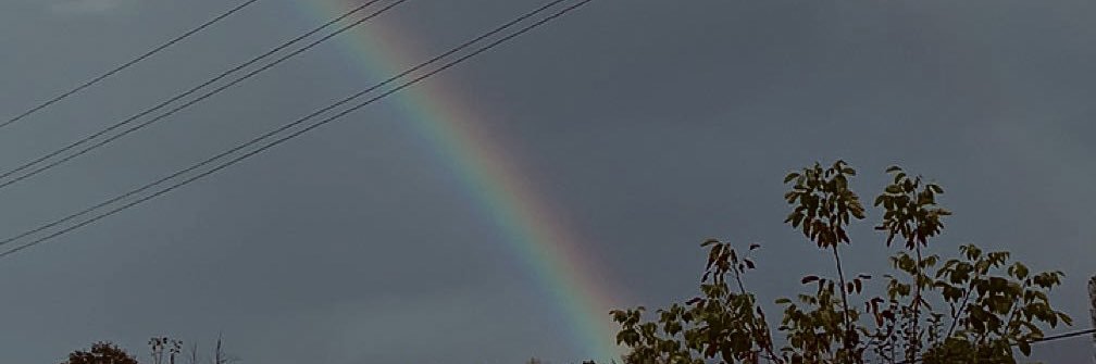 senatonbull's profile banner image