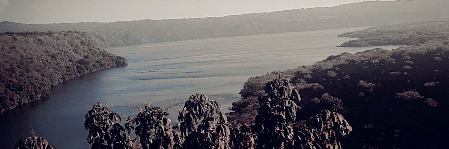 PDolcan's profile banner image