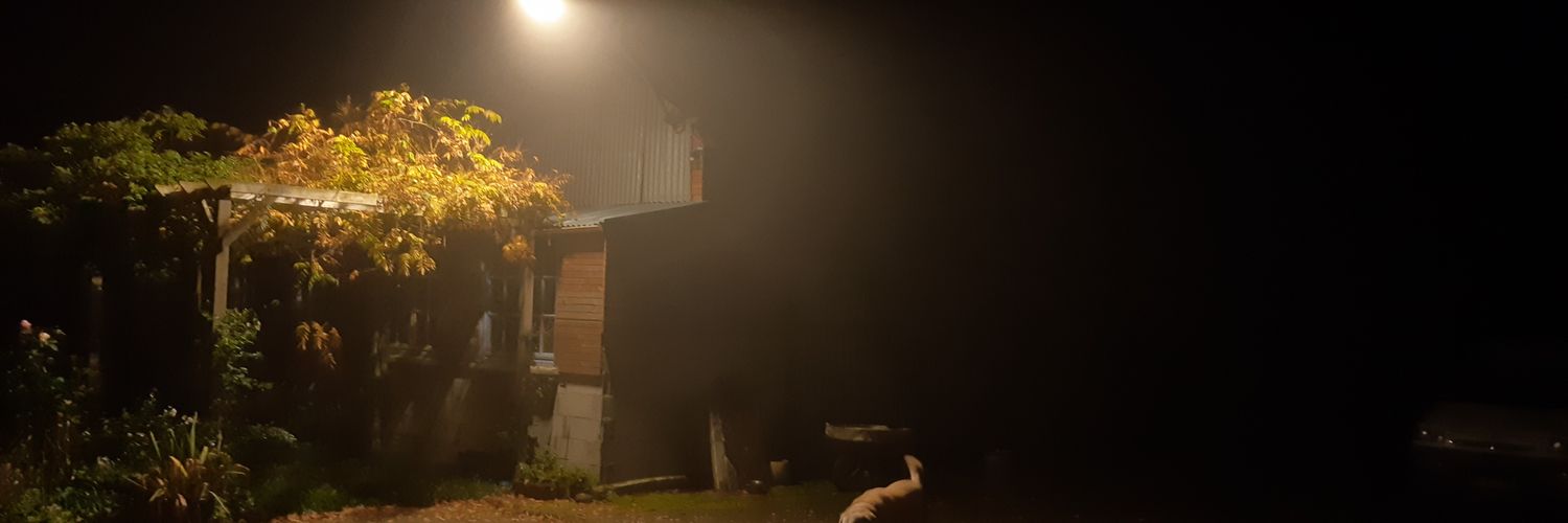 cocopasd's profile banner image