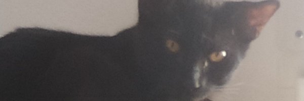 KevirisOrtega Profile Banner