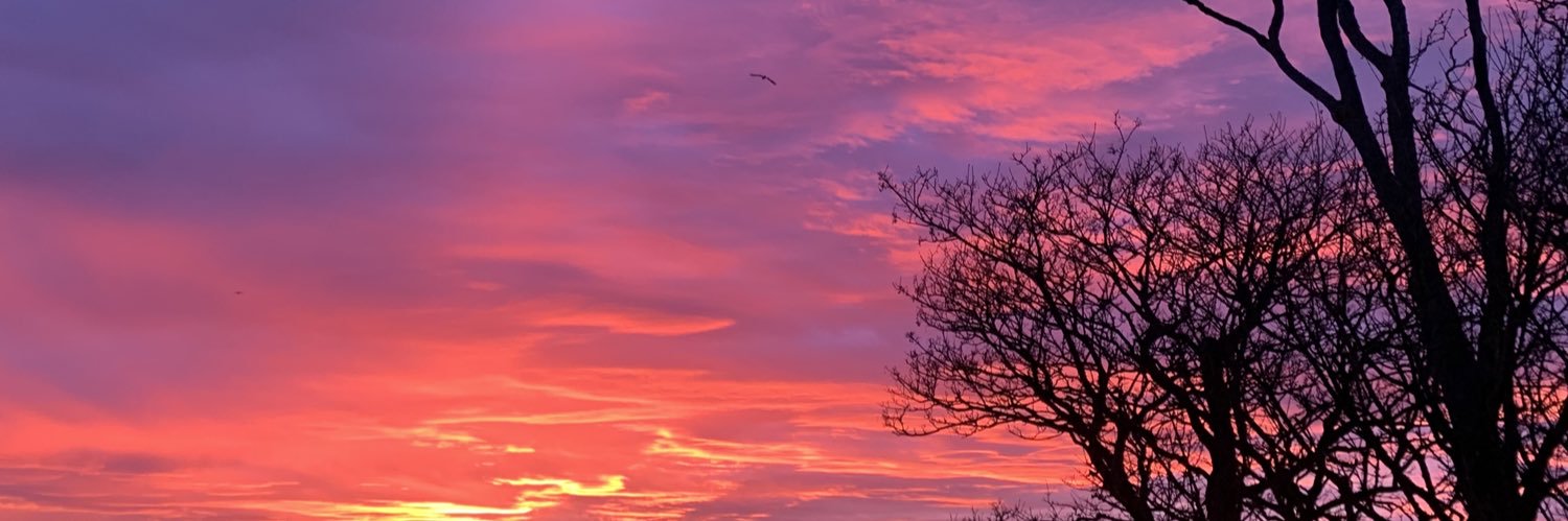 eva banner