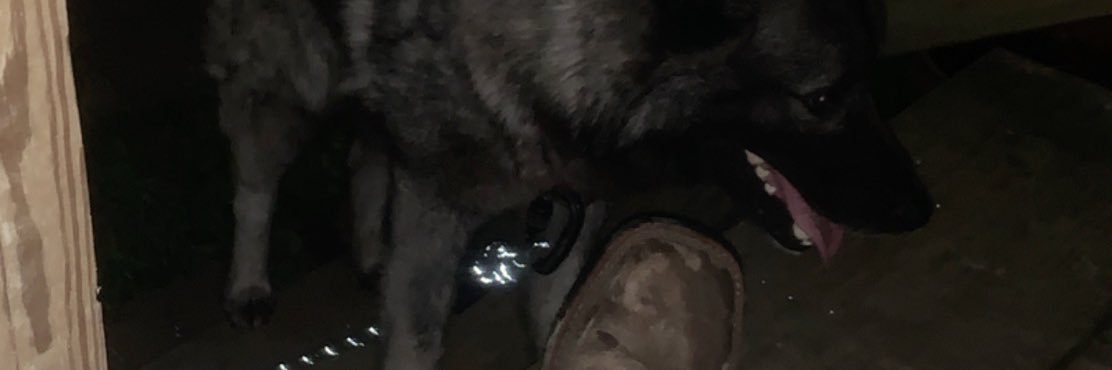 FuckBrandonA's profile banner image