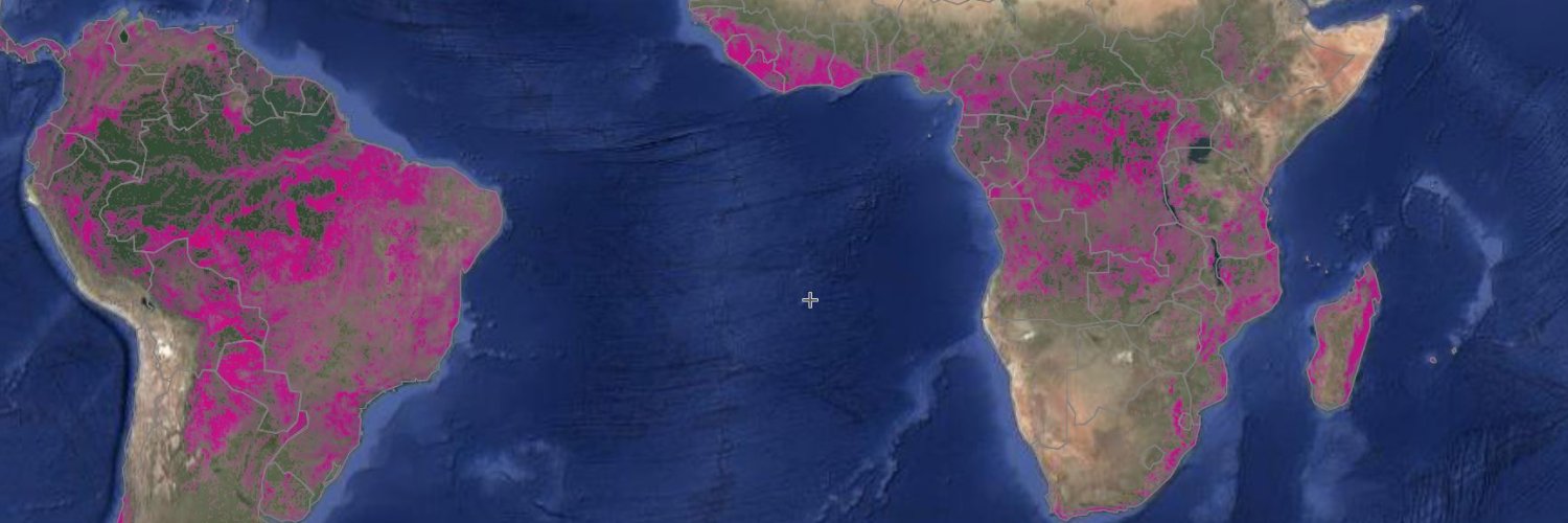 Global Forest Watch banner