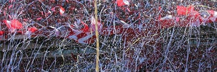 RRPPCAI's profile banner image