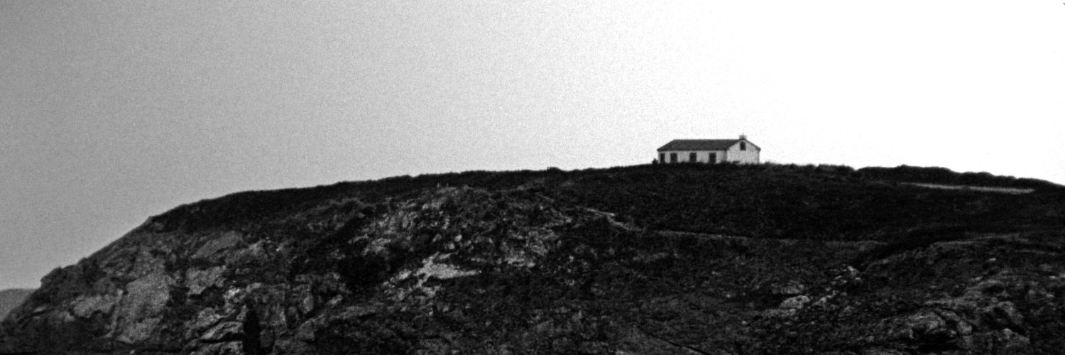 Danny Ray Bellini banner