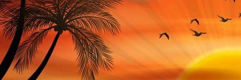 IamDeenaT's profile banner image