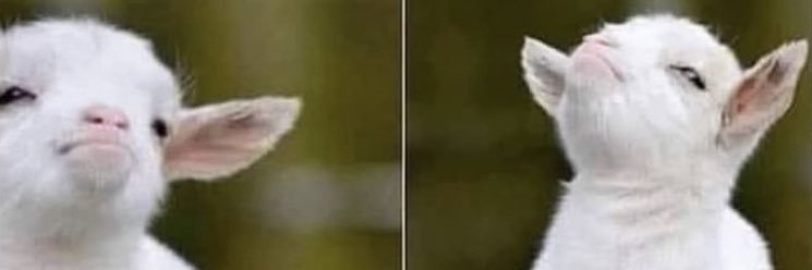 tintags_'s profile banner image