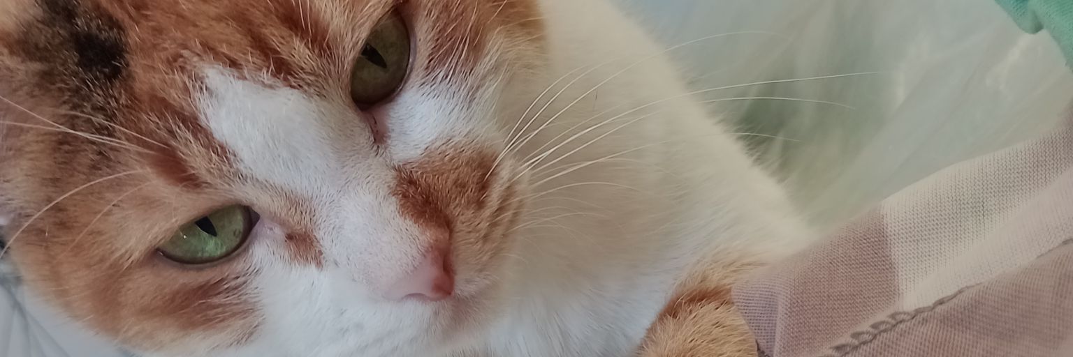 EnzoS23's profile banner image