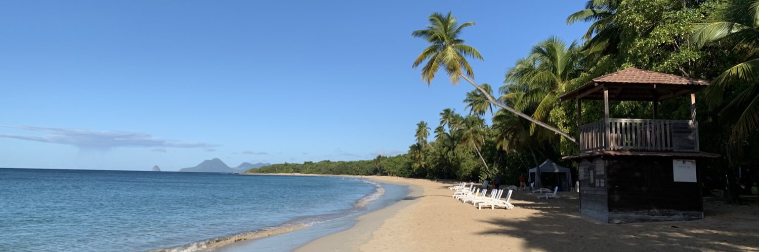 Arnaud Courteille banner