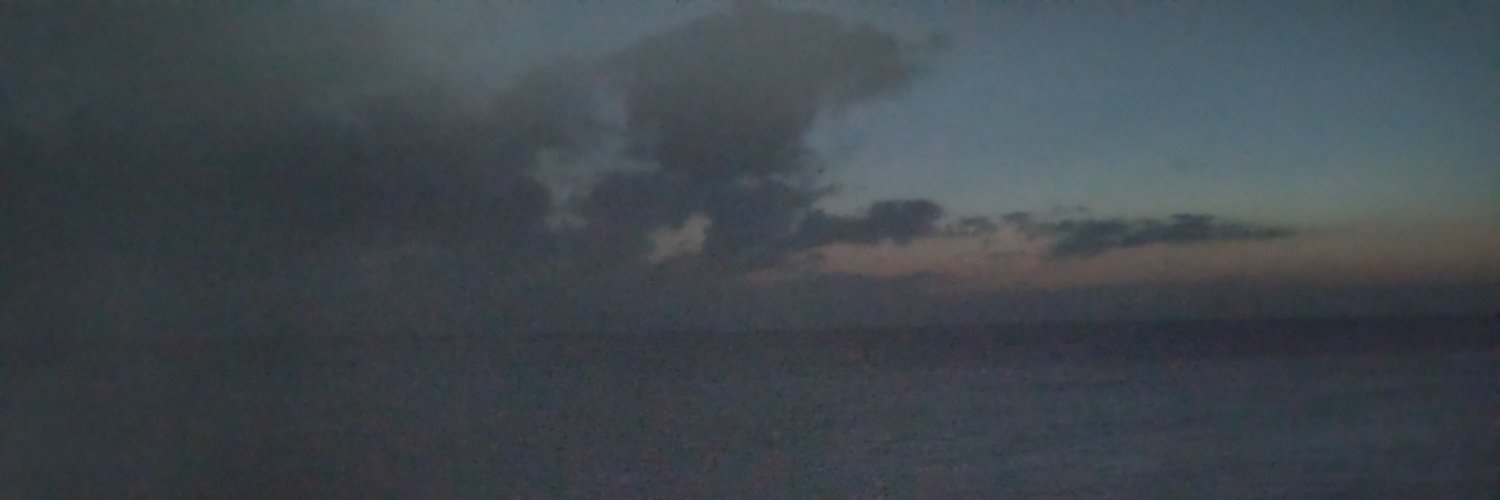Enervationdoll's profile banner image
