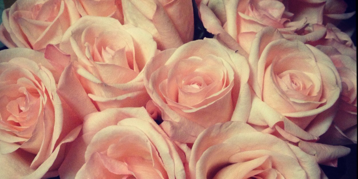 _Michi_Cortes_'s profile banner image