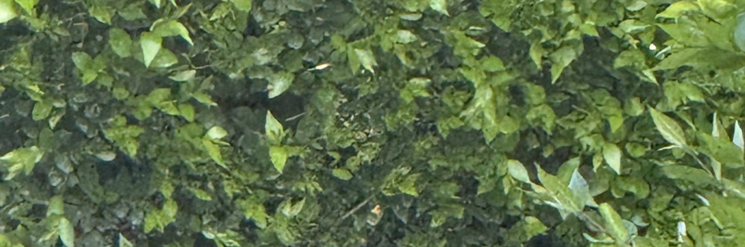 gioj banner