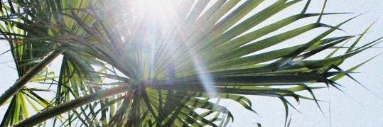 josefiinemalm's profile banner image