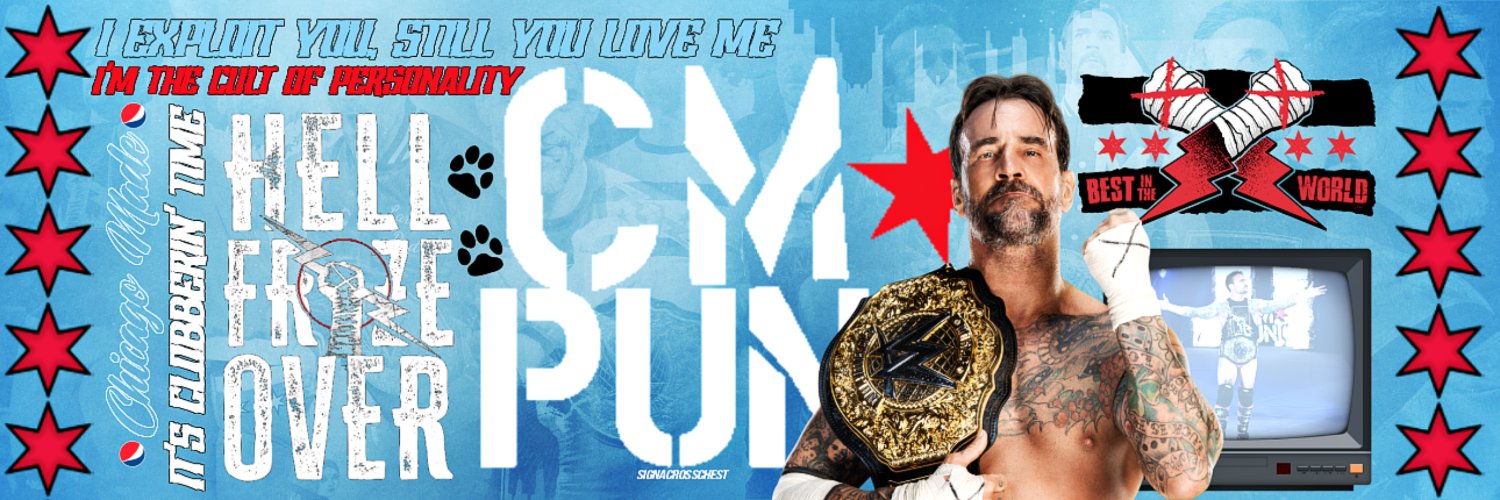 The smile on your television screen. ✘ @CMPunk. banner