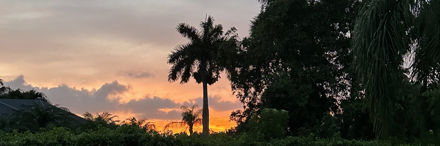 sofiarodezno's profile banner image
