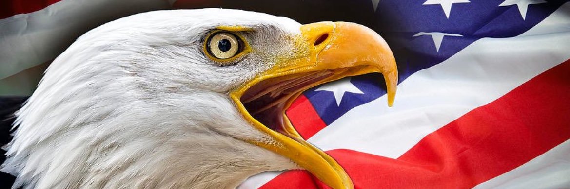 rfmcferrin's profile banner image