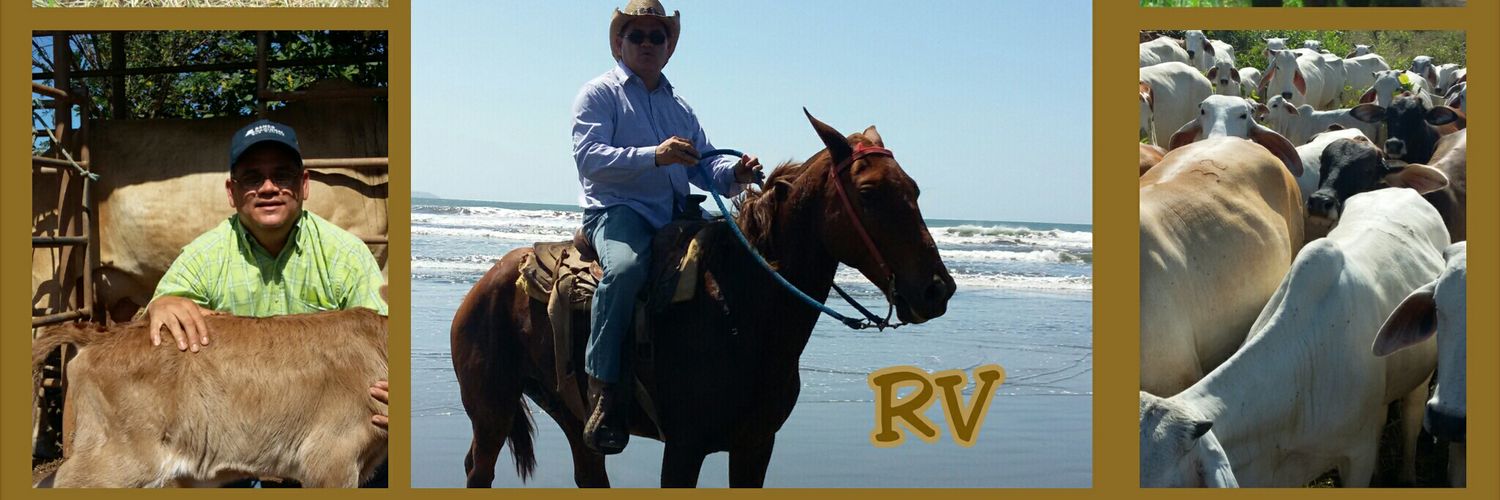 rvglex's profile banner image