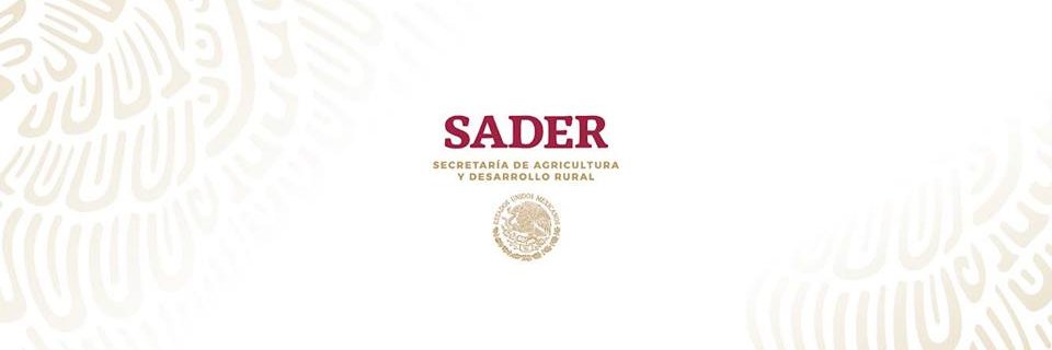 SADER Puebla banner