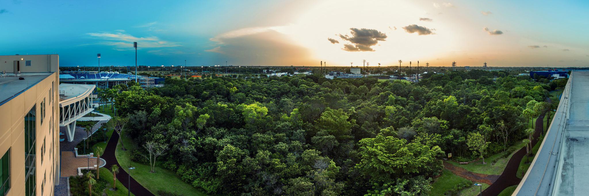 FIUGoGreen's profile banner image