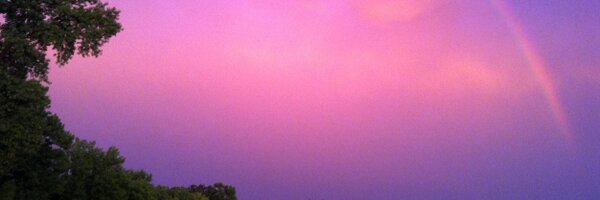 megsteig Profile Banner