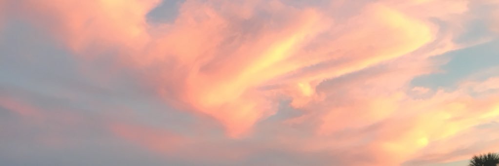 Kathleen Cress banner