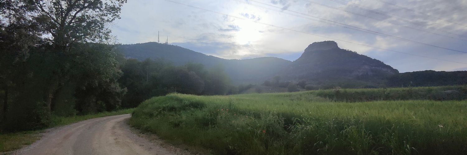 carlesverdes's profile banner image