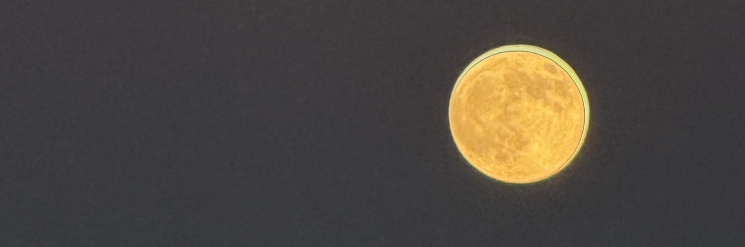 cat_cny's profile banner image