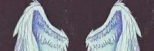 LeiderFerrin1's profile banner image