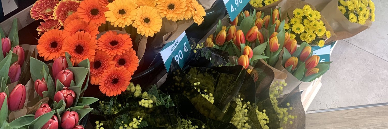 Tomateognions's profile banner image